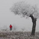 Foto-Forum BEFO-2014-  030